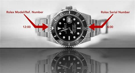 rolex explorer model numbers.